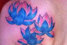 Blue Lotuses